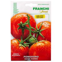 Franchi Sementi Saint Pierre Tomato